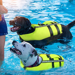 جديد DesigDogn سلامة ملابس السباحة عاكس تعويم سترة قابل للتعديل المنقذ الكلب الملابس - Product Image 2