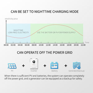 Invertisseur GreenPower personnalisé OEM ODM 11kw 11000w hors réseau hybride 11kw Invertisseur solaire avec prise en charge WIFI en option - Product Image 4