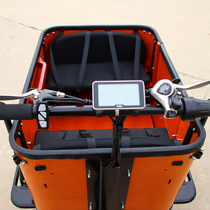 Vélo <span class=keywords><strong>cargo</strong></span> électrique à 3 roues, moteur 250W, style européen CE, pour adulte, en promotion - Product Image 4