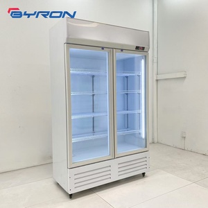 Réfrigérateur commercial à refroidissement direct, vitrine verticale à porte vitrée unique pour boissons, Byron, pour supermarchés et commerces de détail - Product Image 2