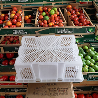 Panier de rangement en plastique moulé par injection PP de haute qualité pour fruits de mer / CAISSES (BYK-2) / Panier de manutention avec couvercle 48*36*16cm Blanc