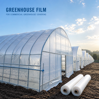 Film plastique renforcé résistant aux UV pour serre, couverture de culture de légumes, fruits, pépinières et semis