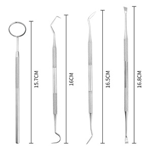 Stainless Steel Dental Oral Care <b>Tools</b> 4 Piece Set With Mirror Probe Teeth Cleaning <b>Kit</b> For Home Use - Product Image 3