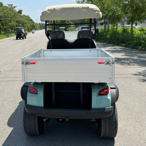 LUHUAN 2025 Mobil Golf Listrik 2-Kursi Terbaru Laris Manis dengan Kotak Barang Bersertifikat CE, Buggy Golf Utilitas untuk Resor dan Hotel - Product Image 6