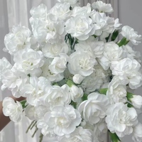 Fleur fraîche blanche à longue tige, origine Yunnan, vente en gros pour mariages, Saint-Valentin, anniversaires et décorations intérieures