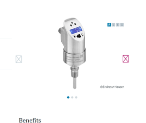 Débitmètre électromagnétique Endress+Hauser DMA15-AAAAA1 DMA15 - Product Image 3