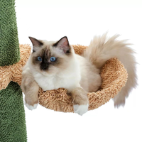 Fabricant de gros fournisseur de produits pour animaux de compagnie en bois grand cactus arbres à chat grattoir