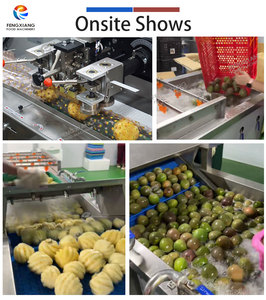 Ligne de nettoyage et de séchage de fruits sur mesure pour usine : oranges, fruits du dragon, ananas, pruneaux, agrumes - Product Image 3