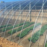 Film de serre à lumière diffusée à 7 couches pour la culture des fraises et des bleuets, résistant aux UV, couverture en plastique agricole
