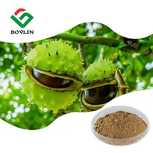 Wholesale Price Supply Horse Chestnut Extract Powder Natural 20% Aescin