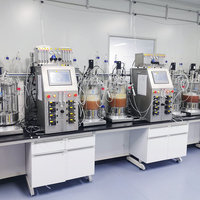 Biorreactor de Laboratorio Bailun con Agitación Magnética, Recipiente de Presión de Acero Inoxidable de 5L, Cultivo de Células y Bacterias, Calentamiento Inferior