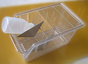 Cage pour souris de laboratoire en polycarbonate <span class=keywords><strong>CM1</strong></span> 290*178*161mm - Product Image 2