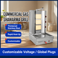 Four à shawarma commercial à deux brûleurs GB-650C, gril à doner en acier inoxydable, infrarouge, GPL, appareil à kebab