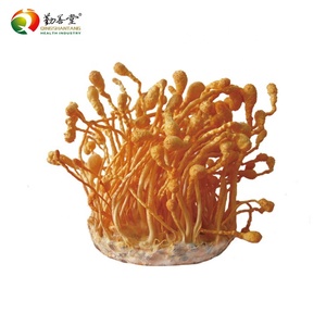 Cápsulas de extrato de <span class=keywords><strong>Cordyceps</strong></span> Militaris cápsulas de cogumelo macio de Caterpillar chinês cápsulas de <span class=keywords><strong>Cordyceps</strong></span> Sinensis - Product Image 3