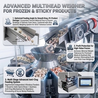 Industriële weeg- en verpakkingsapparatuur voor IQF diepvriesfruit, gemengde groenten, erwten en maïs; automatische verticale verpakkingsmachine (VFFS).