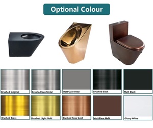 Colores personalizados disponibles Inodoro en cuclillas inoxidable calle exterior ahorro de espacio colorido público con <span class=keywords><strong>cisterna</strong></span> - Product Image 4
