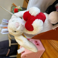 Jellcatt UK Wit pluche konijntje met hangende oren, rood hartje vasthoudend, schattig knuffeldier, Valentijnsdag romantisch cadeau