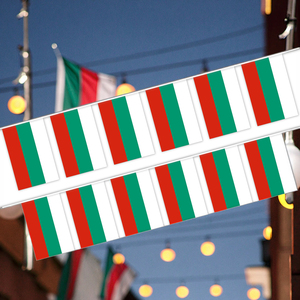 Venta al por mayor 14*21cm <span class=keywords><strong>Bulgaria</strong></span> bandera banderín patrón de impresión Digital banderín para decoraciones - Product Image 4