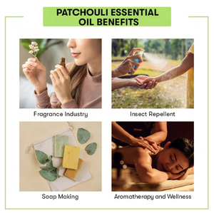 Fornitore all'ingrosso <span class=keywords><strong>di</strong></span> <span class=keywords><strong>olio</strong></span> <span class=keywords><strong>essenziale</strong></span> <span class=keywords><strong>di</strong></span> <span class=keywords><strong>patchouli</strong></span> biologico dall'Indonesia, <span class=keywords><strong>olio</strong></span> <span class=keywords><strong>di</strong></span> <span class=keywords><strong>patchouli</strong></span> personalizzato <span class=keywords><strong>di</strong></span> tutte le qualità da 1 kg per sapone, produzione <span class=keywords><strong>di</strong></span> profumi, diffusore - Product Image 5