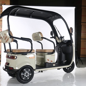 Triciclo Eléctrico Cerrado de 3 Ruedas para Adultos, Marca Q5, Fabricado en China, con Cubierta para Lluvia, Motor de 48V 600W, Velocidad Máxima de 50-70 km/h - Product Image 5