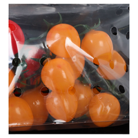 Sachet debout anti-buée pour sushi, fruits frais, légumes, emballage transparent avec fermeture éclair, utilisable au micro-ondes