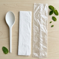 Ensemble de couverts jetables en plastique écologique japonais, compostable, emballé pour les fêtes, en Airlaid, pour les compagnies aériennes