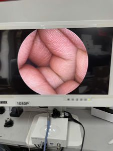 Yüksek çözünürlüklü cmos endoskop kamera taşınabilir usb hd endoskop - Product Image 2