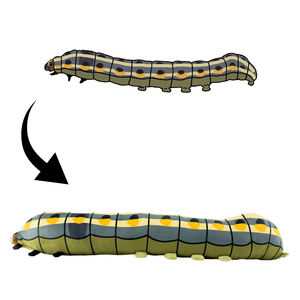 ぬいぐるみぬいぐるみぬいぐるみぬいぐるみぬいぐるみぬいぐるみぬいぐるみぬいぐるみ<span class=keywords><strong>Cockatoo</strong></span> - Product Image 2