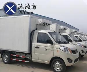 Foton 4x2 1T Mini Kühlschrank LKW Anpassung Transport Gemüse Gefrier schrank kleinen Kühlwagen Zum Verkauf