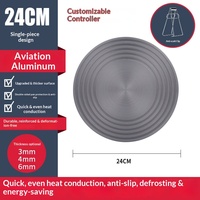 Plaque de Conduction Thermique pour BBQ, Plateau de Décongélation Rapide Conducteur, Diffuseur de Chaleur pour Viande Congelée, Cuisinière à Gaz