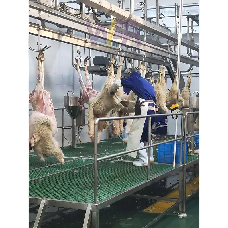 Giải pháp hoàn chỉnh thiết bị giết mổ thịt cừu nhà máy chế biến thịt dê cho máy giết mổ cừu
