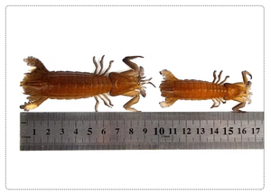 Señuelo de Pesca Realista de PVC de 3g 7CM 7g 10CM, Señuelo Artificial de Camarón para Pesca en Agua Salada y Agua Dulce - Product Image 5