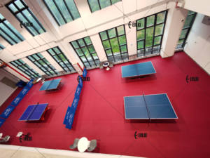 Piastrelle per Campo da <span class=keywords><strong>Ping</strong></span> <span class=keywords><strong>Pong</strong></span> Indoor in PVC Enlio, Approvate ITTF, Ignifughe, 7.0mm, Tappetini Sportivi Ecologici - Product Image 5