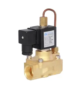 Solenoid Valve High Pressure Yongchuang YCH12 Normally OPEN High Pressure Water Air Compressor Brass Solenoid Valve For Blowing Machine
