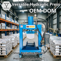 Prensa Hidráulica de Pórtico Pequeña QDLSFS para Corte de Ladrillos de Oro y Plata, Lingotes de Plomo y Zinc, Máquina de Corte de Metales para Uso Doméstico, OEM ODM Personalizada