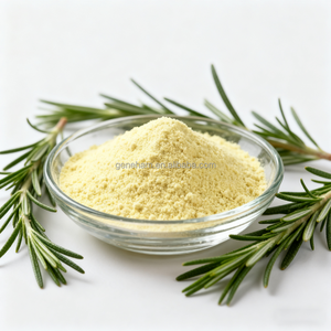 健康サプリメント<span class=keywords><strong>GMP</strong></span> ISO高純度ローズマリーエキス90% カルノシン酸粉末植物 - Product Image 3