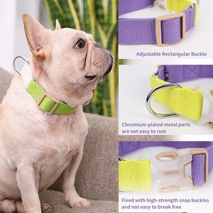 2023 Luxury Premium Coated Macaron <b>Light</b> Yellow Waterproof <b>Dog</b> Training Collar H-strap Harness Adjustable Polyester PVC <b>Dog</b> - Product Image 4