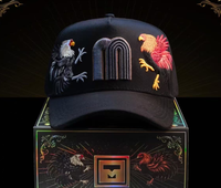 Casquette de baseball 5 panneaux en daim noir avec visière, doublure en satin et motif Magician Design Box, prête à être expédiée en 2026 - 31 casquettes