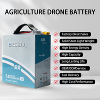 Batterie rechargeable pour drone haute performance 54Ah 64.8V 18S semi-solide certifiée UN38.3 avec connecteur XT60