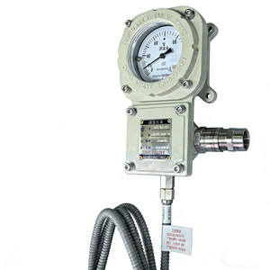 WTY-205 Gasdruck-Thermometer mit Analoganzeige, Heißwiderstandssignal-Ausgang, Nanyang Huaye Zhang Heng - Product Image 2