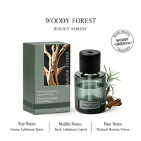 Diffuseur Désodorisant Auto Rechargeable À Spray Automatique Flacon En Verre Distributeur Intelligent De Parfum Portable