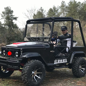 Vehículo Todoterreno de Alto Rendimiento, Mini <span class=keywords><strong>Jeep</strong></span> de 320 CC, 2/<span class=keywords><strong>4</strong></span> Asientos, 2WD/4WD, Vehículo Todoterreno para Adultos, Bajo <span class=keywords><strong>Precio</strong></span>, para Subir Montañas - Product Image 6