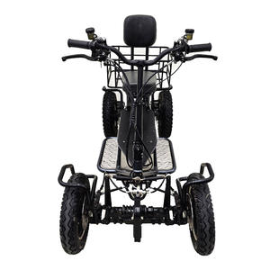Scooter <span class=keywords><strong>électrique</strong></span> <span class=keywords><strong>tout</strong></span>-<span class=keywords><strong>terrain</strong></span> 4 roues 1500W 60V pour adultes, vélo <span class=keywords><strong>électrique</strong></span> <span class=keywords><strong>tout</strong></span>-<span class=keywords><strong>terrain</strong></span>/plage, mobilité puissante et ODM disponible - Product Image 1