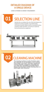 Automatic Vegetable Washing Machine Fruit And Vegetable Bubble Cleaning Machine Cleaning And Drying Line