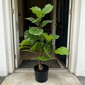 Artificial <b>Tree</b> Green Potted with Piano Leaf Banyan Ornaments for Living Room Floor Simulation - Product Image 5