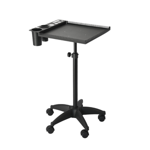 <span class=keywords><strong>Chariot</strong></span> de rangement métallique pour extensions capillaires – Nouveau <span class=keywords><strong>chariot</strong></span> de beauté pour outils d'extension de cheveux – <span class=keywords><strong>Chariot</strong></span> de salon pour usage professionnel en salon, école ou à domicile - Product Image 6