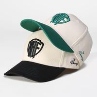Gorra de Béisbol de 5 Paneles, 100% Algodón, Logotipo Bordado en 3D Personalizado, Gorra Deportiva Unisex, Precio de Fabricante