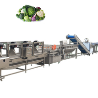 Complete Yoursjoys automatische fruit- en groenteverwerkingslijn voor diepvriespulp, puree, gedroogde plakjes, schillen, snijden, invriezen (1 jaar garantie)
