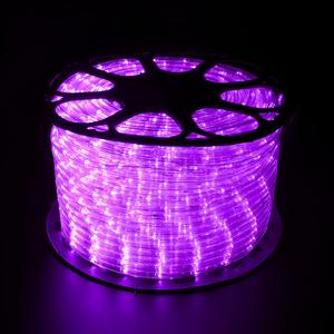 <strong>LED</strong> Rope <strong>Light</strong> PVC Shell <strong>IP65</strong> Waterproof <strong>Shower</strong> Effect RGB Changeable Smart <strong>Lights</strong> Modern Lighting - Product Image 4
