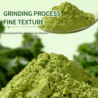 Polvo de Kale Liofilizado Orgánico de Venta Caliente en Lata/Tambor, Superalimento Totalmente Natural que te Ayuda a Perder Peso, Aumenta la Energía y Promueve una Vida Saludable